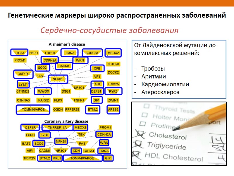 Генетические маркеры широко распространенных заболеваний От Ляйденовской мутации до комплексных решений:  Тробозы Аритмии